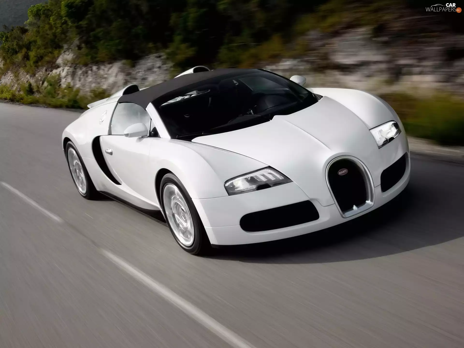 White, Bugatti Veron