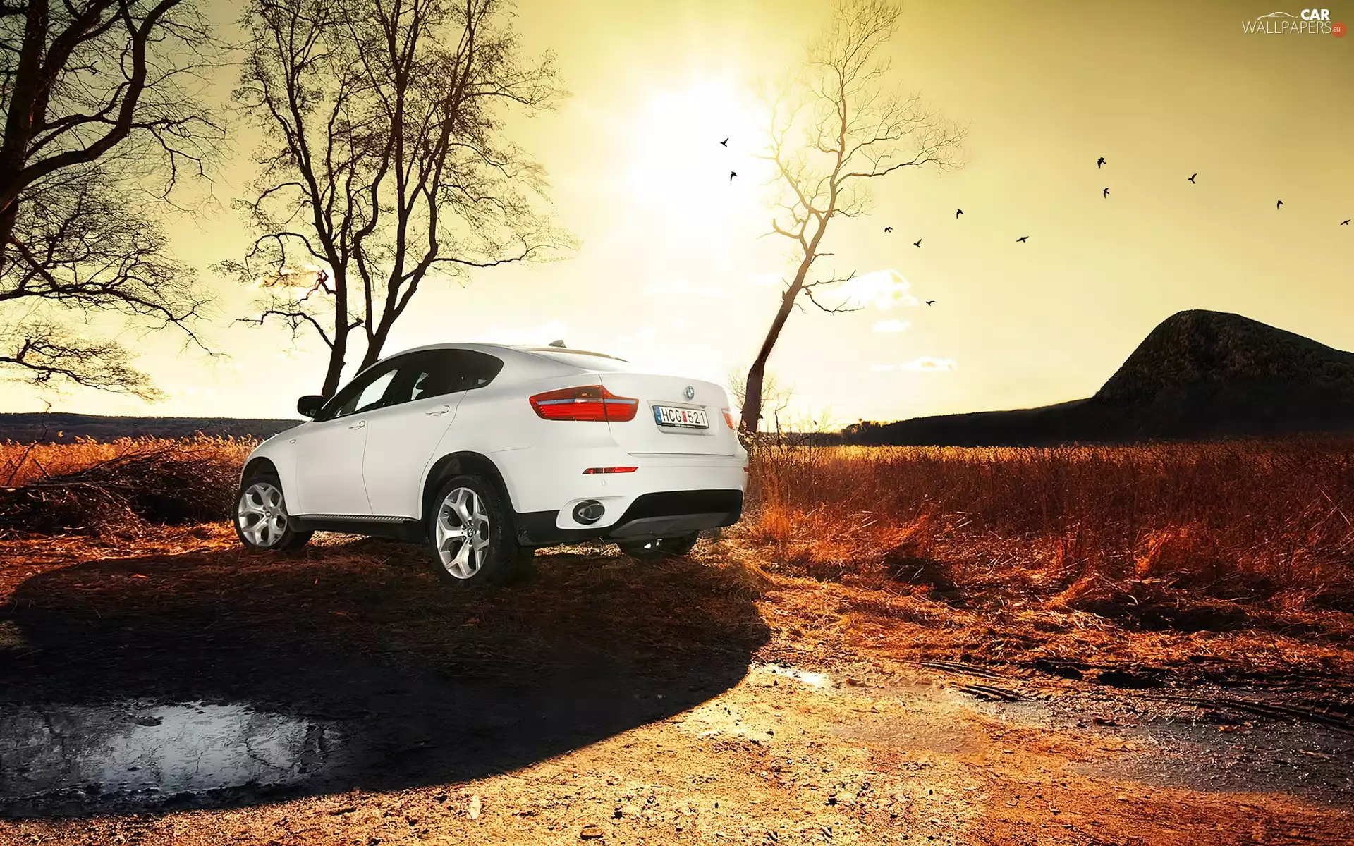 White, BMW X6