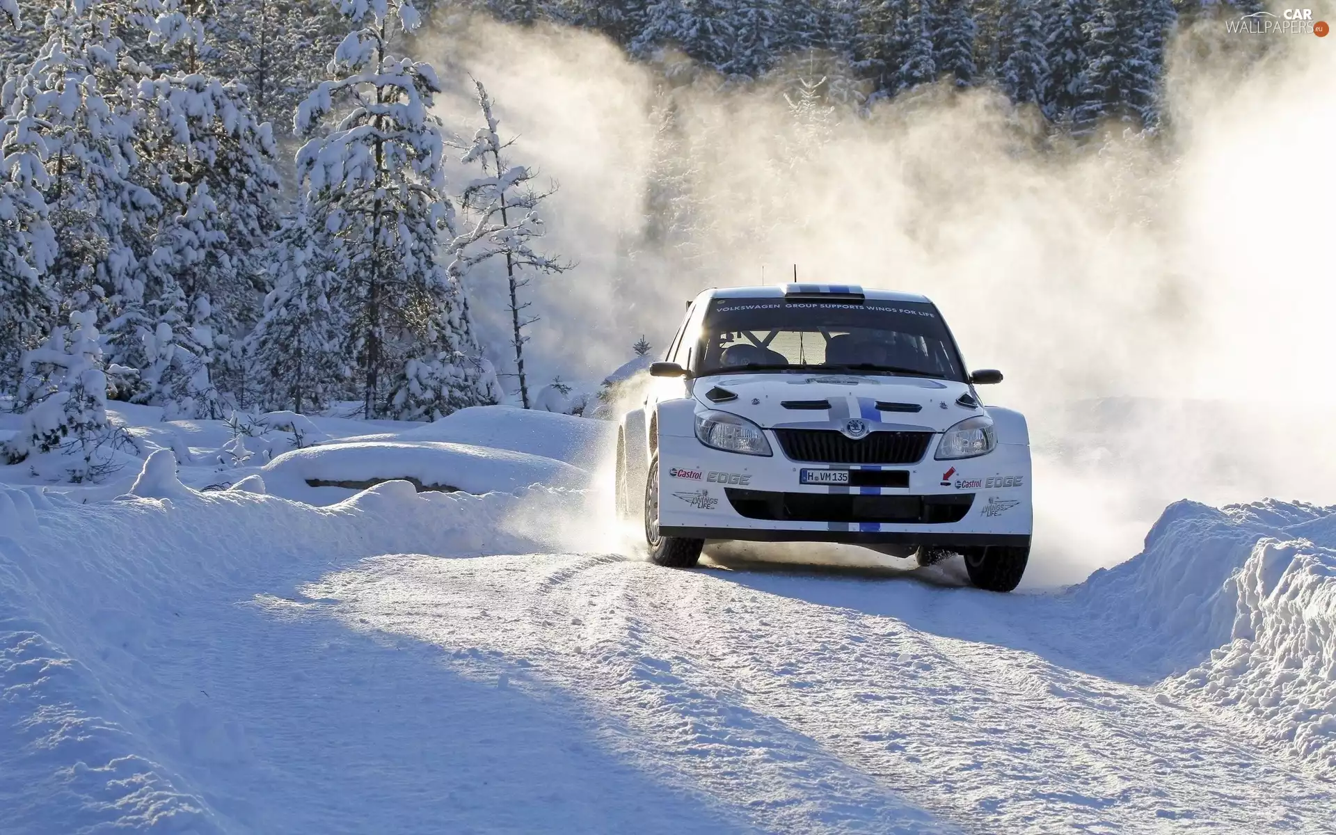 mountains, Skoda, rally, winter, forest, Fabia