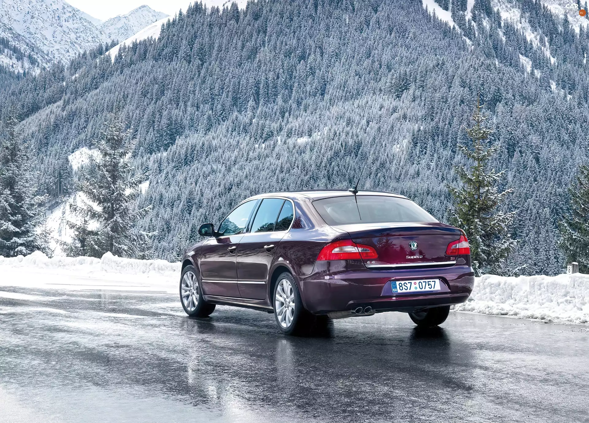 Claret, winter, Icecream, Skoda Superb