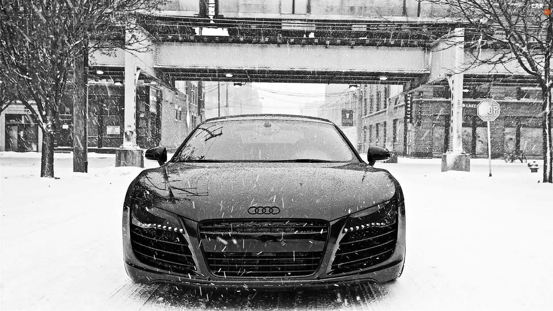 snow, Audi R8, winter