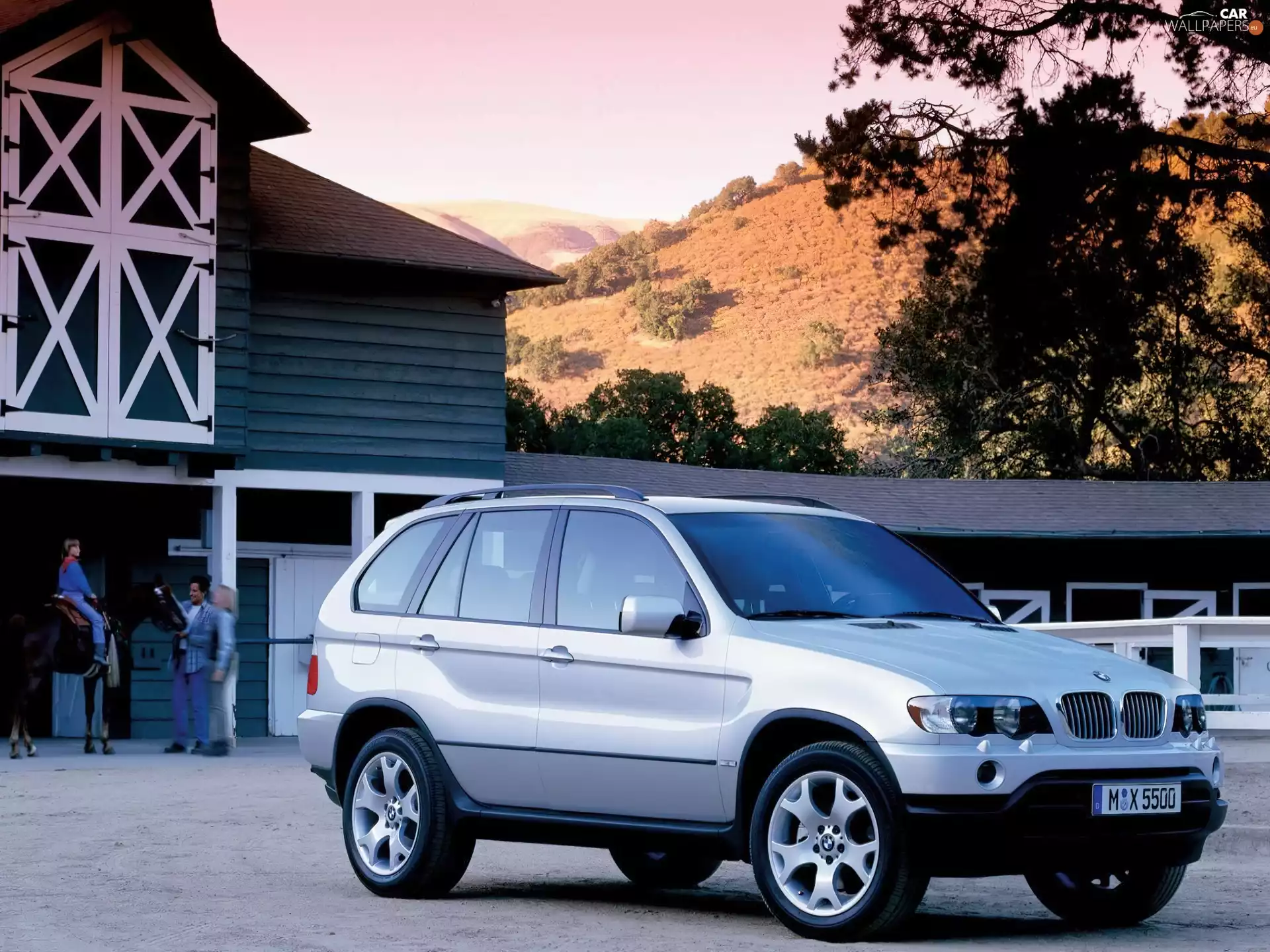 Stable, silver, Bmw X5