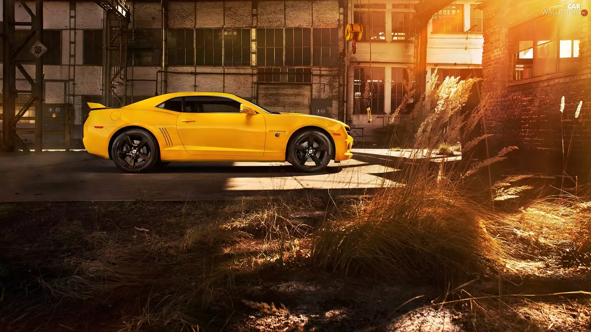 ligh, SS, flash, Yellow, Camaro, sun, luminosity