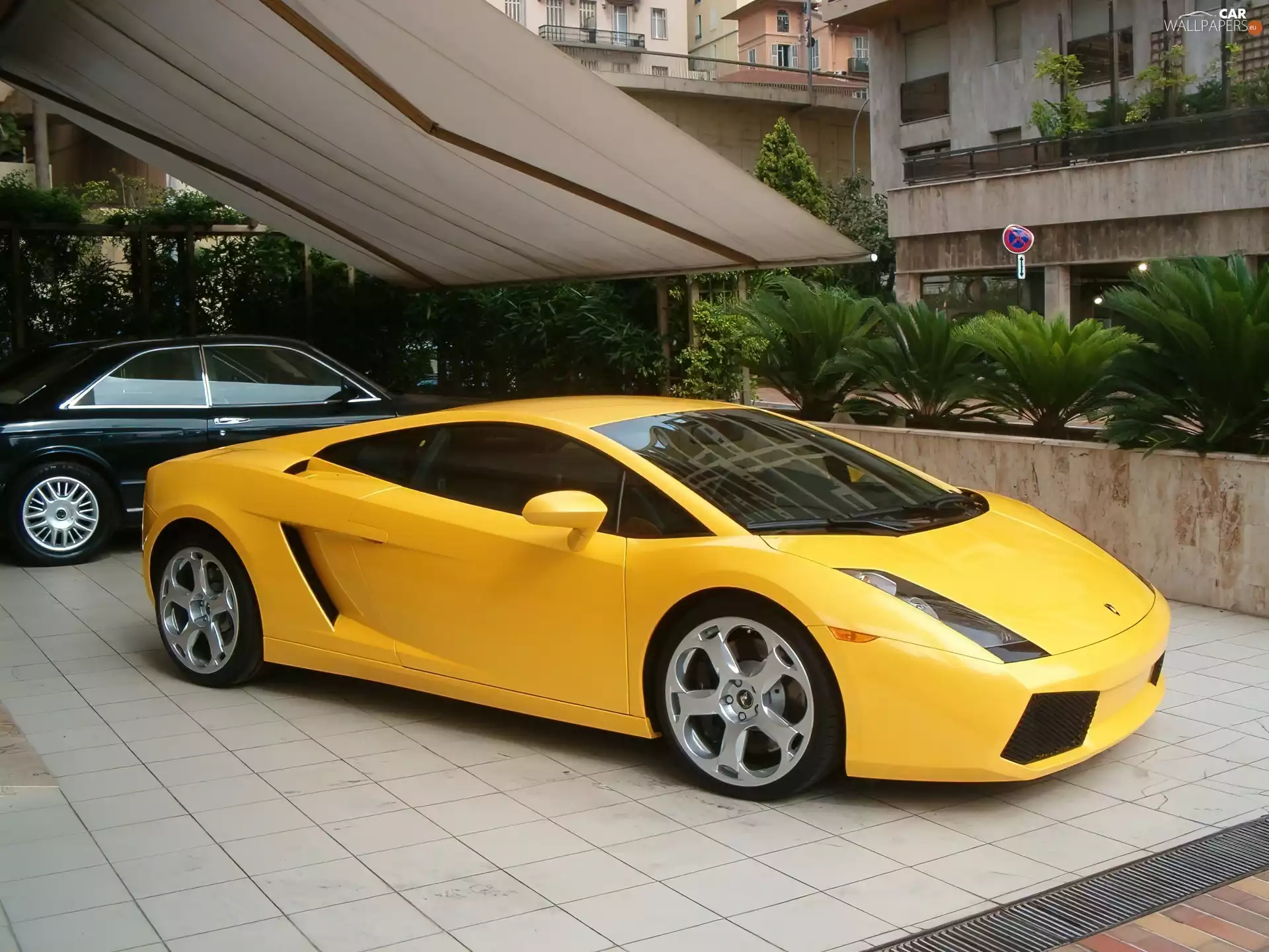 Yellow, Lamborghini Gallardo