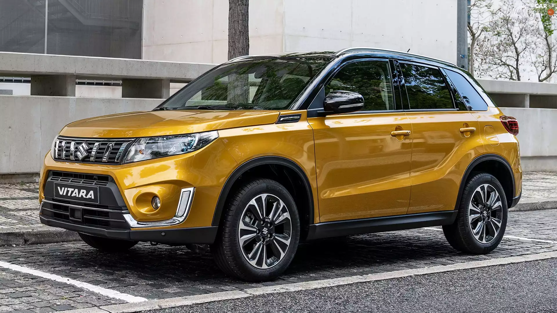 Yellow, Suzuki Vitara