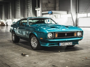 1973, Mustang, Ford