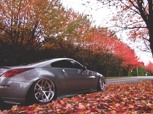 autumn, Nissan, 350Z, Way