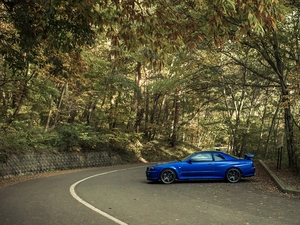 Nissan 350Z, Way, forest, TUNING