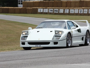 White, Ferrari F 40