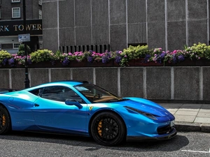 Street, Flowerpots, Ferrari, 458 Italia, Automobile