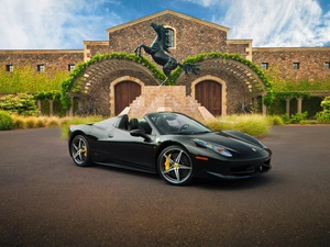 VEGETATION, Ferrari, 458 Building