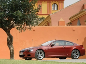 trees, Claret, BMW 6
