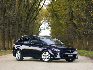 Mazda 6, Way, forest, Combi