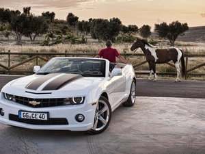 Horse, Chevrolet, a man