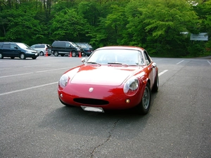Front, inflow, forest, Abarth 1000 Mono