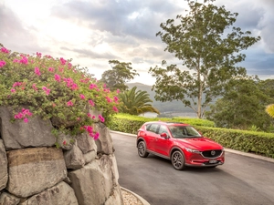 wall, trees, 2017, Way, Mazda CX-5 Akera