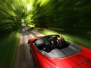 Cabriolet, Aston Martin DBS, interior
