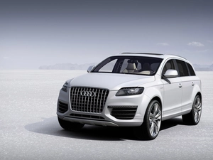 Audi Q7, dummy