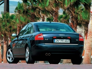 Audi A6, Palms