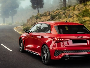 Back, Audi RS3 Sportback, Red