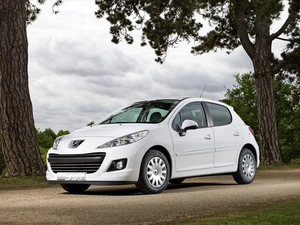 Automobile, Peugeot, 207