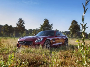 Automobile, Mercedes AMG