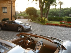 house, Automobile, Bugatti Veyron, Garden