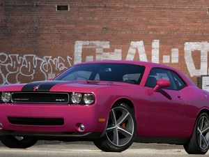 Dodge Challenger, Pink, Automobile