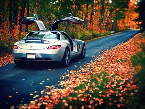 forest, Mercedes, Leaf, autumn, Way, SLS