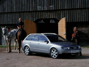 bloodstock, Audi A4, AVANT