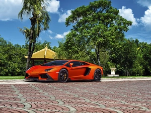 Aventador, Automobile, Lamborghini