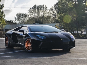Lamborghini, trees, viewes, Aventador