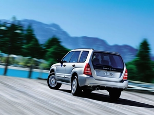 Back, Subaru, Forester