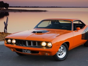 barracuda, Orange, Plymouth