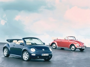 New Beetles, New Beetle