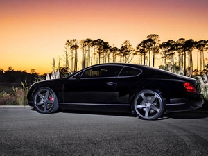 Black, Continental, GT, Bentley