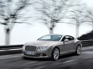 Automobile, Bentley Continental GT, Sport