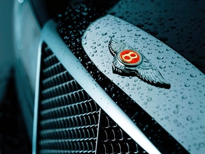 Bentley Arnage, emblem