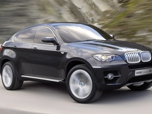 Xsenon, BMW X6, Bi