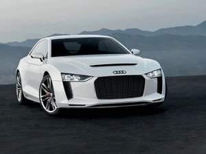 Grill, Audi Quattro, Big