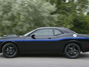 Black, Dodge Challenger