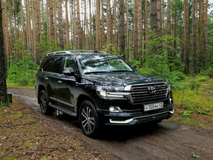 forest, black, Toyota Land Cruiser