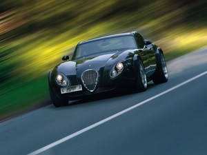 Way, Black, Wiesmann GT MF4