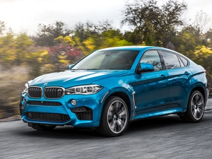 2015, Blue, BMW X6 F86