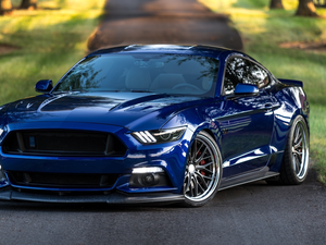 2017, blue, Ford Mustang GT