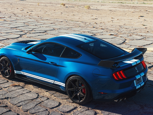 GT500, blue, Ford Mustang Shelby