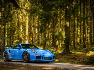 forest, Blue, Porsche 911 GT3