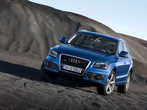 Blue, Audi Q5