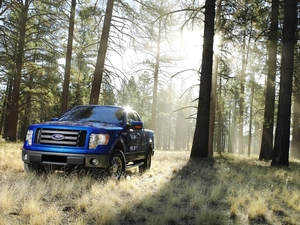 grass, trees, Ford, viewes, forest, blue, Ranger