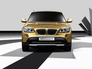 BMW X1, dummy